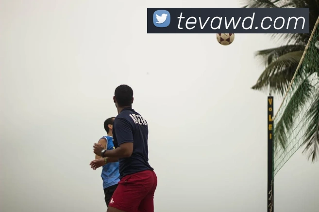 问鼎娱乐平台生态图