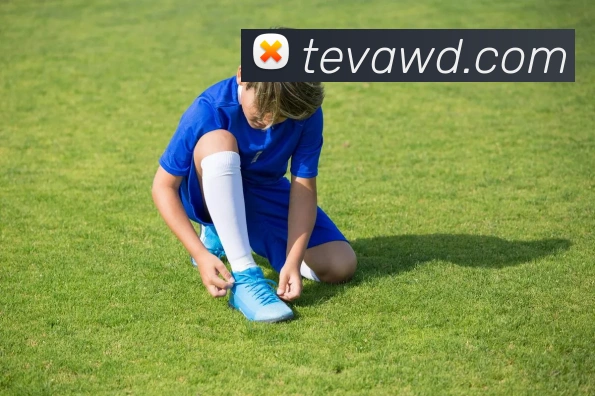 问鼎娱乐APP 封面图